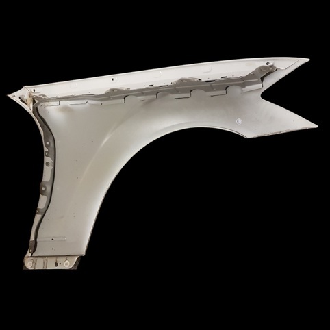 گلگیر رنگ فابریک مرسدس بنز W221